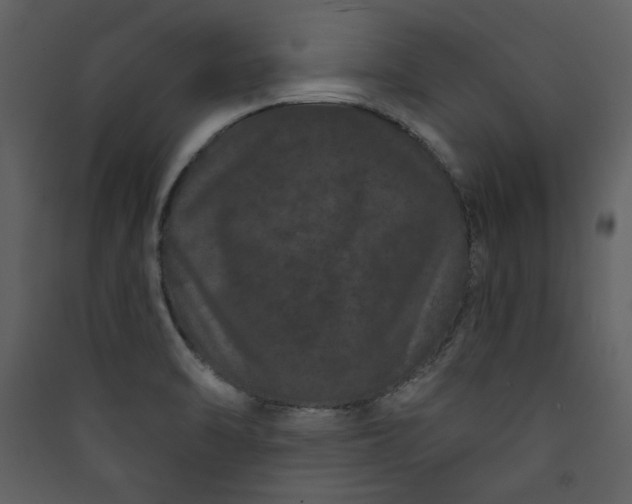 X0000089911470200707131339