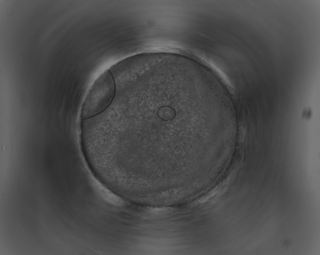 X0000089911471200707131339