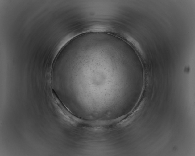 X0000089911473200707131339