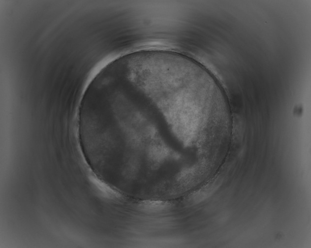 X0000089911474200707131339