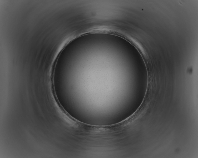 X0000089911475200707131339