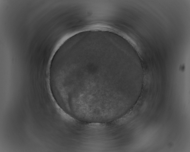 X0000089911478200707131339