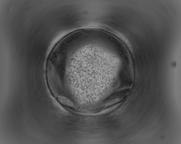 X0000089911480200707131339