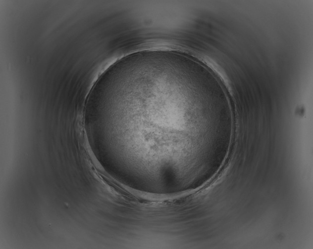 X0000089911481200707131339