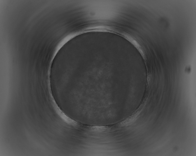 X0000089911482200707131339