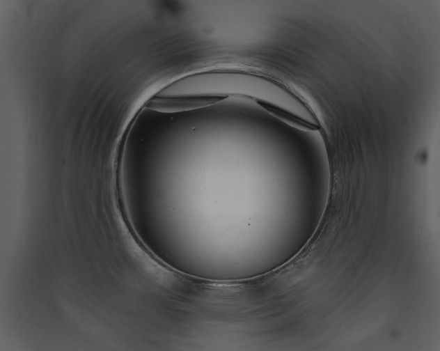 X0000089911483200707131339