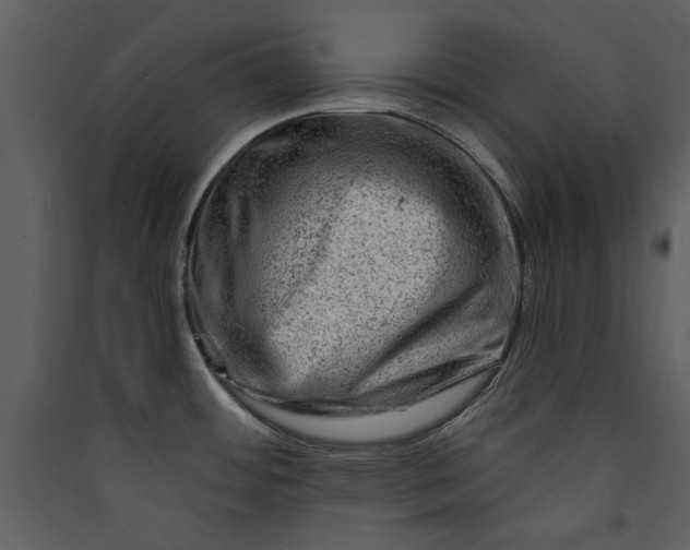 X0000089911484200707131339