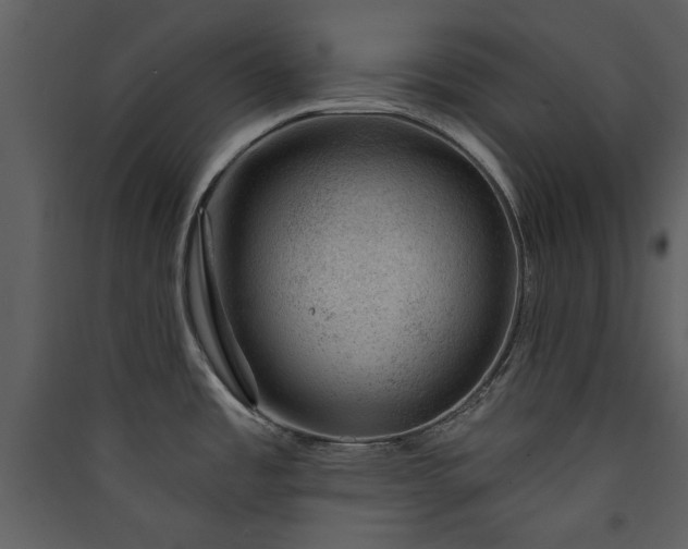 X0000089911485200707131339