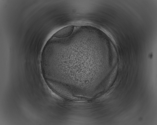 X0000089911486200707131339