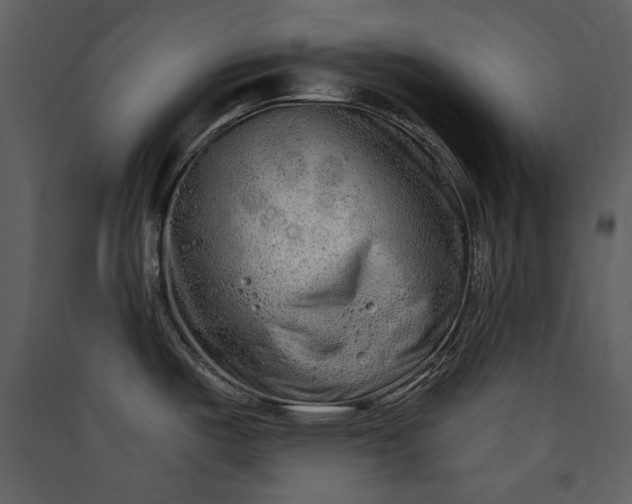 X0000089911487200707131339