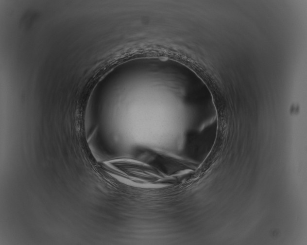 X0000089911490200707131338
