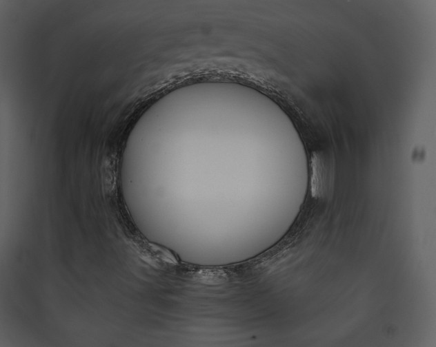 X0000089911491200707131338
