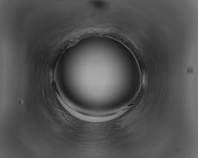 X0000089911492200707131338