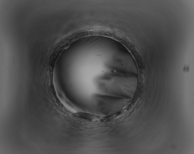 X0000089911493200707131338