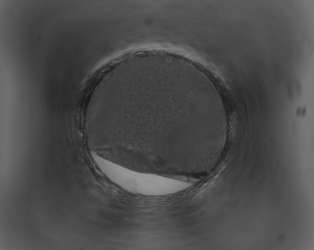 X0000089911494200707131338