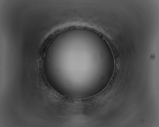X0000089911495200707131338