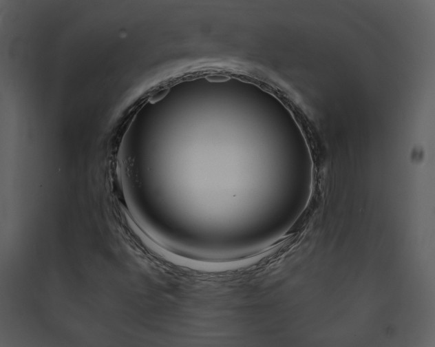 X0000089911496200707131338