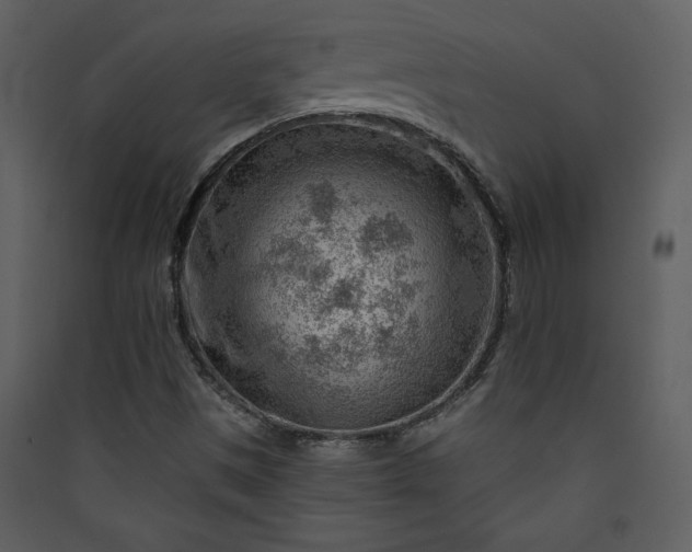 X0000089911497200707131338