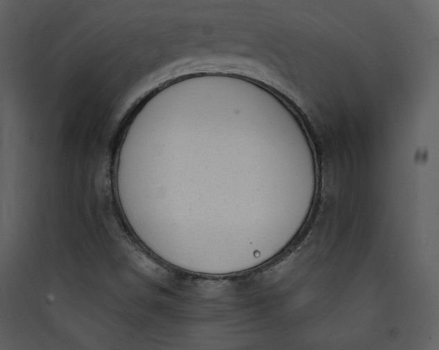 X0000089911498200707131338
