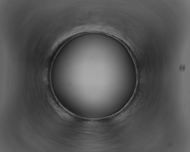 X0000089911499200707131338
