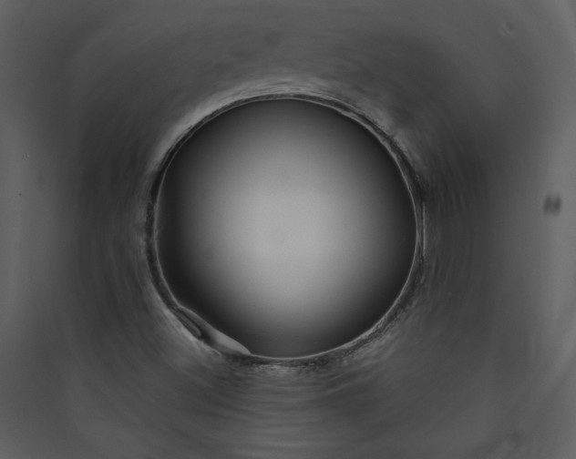 X0000089911500200707131338