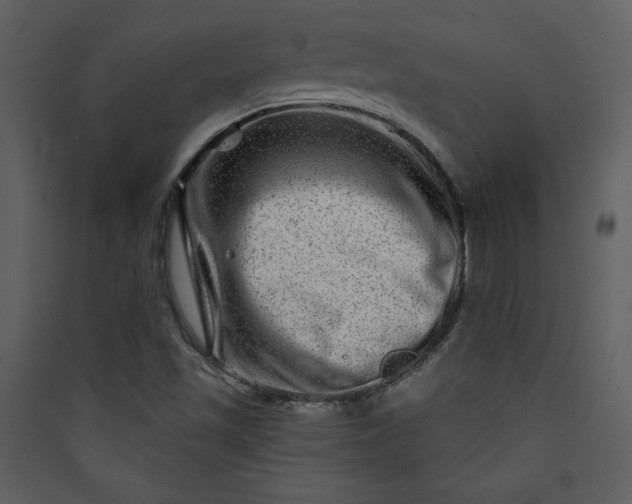 X0000089911501200707131338