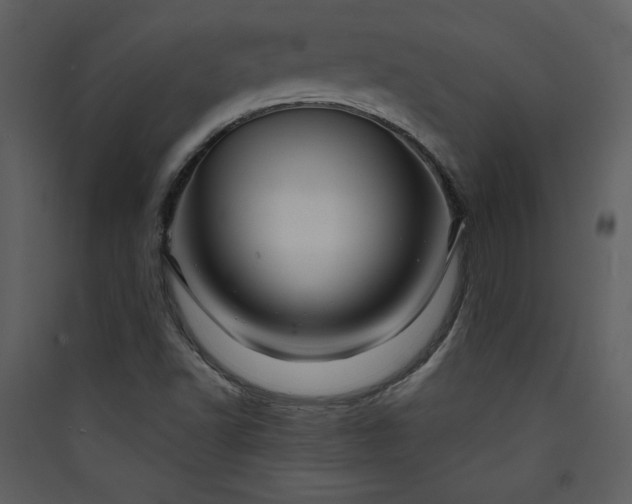 X0000089911502200707131338