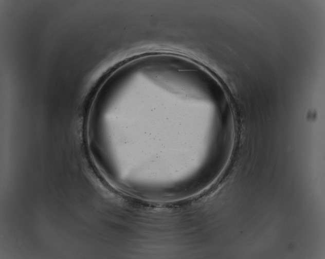X0000089911503200707131338