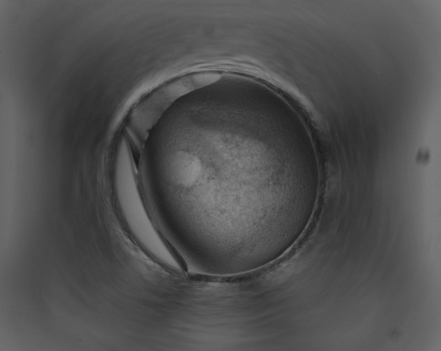 X0000089911506200707131339