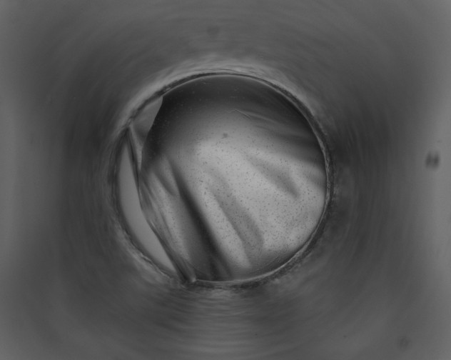 X0000089911507200707131339