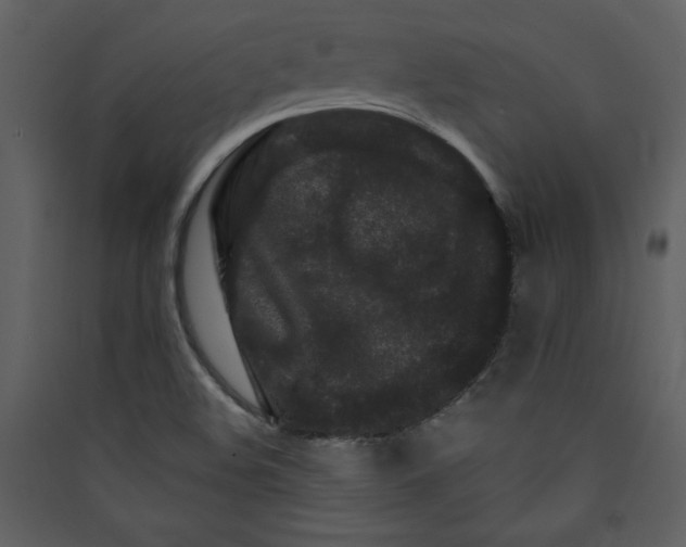 X0000089911508200707131339