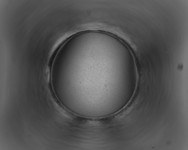 X0000089911509200707131339