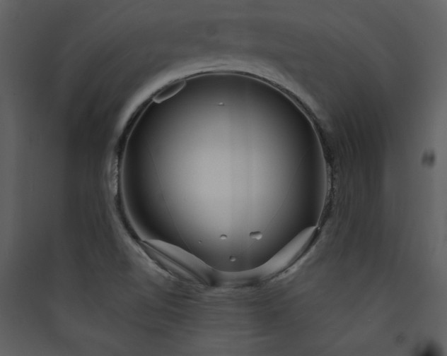 X0000089911510200707131339