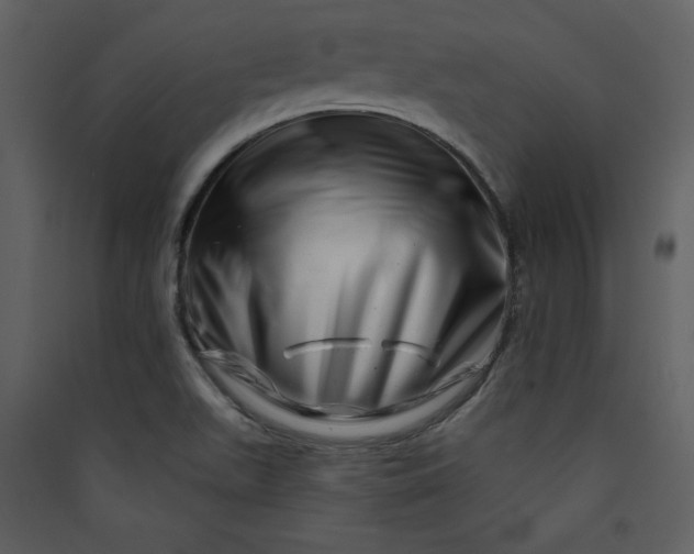 X0000089911511200707131339