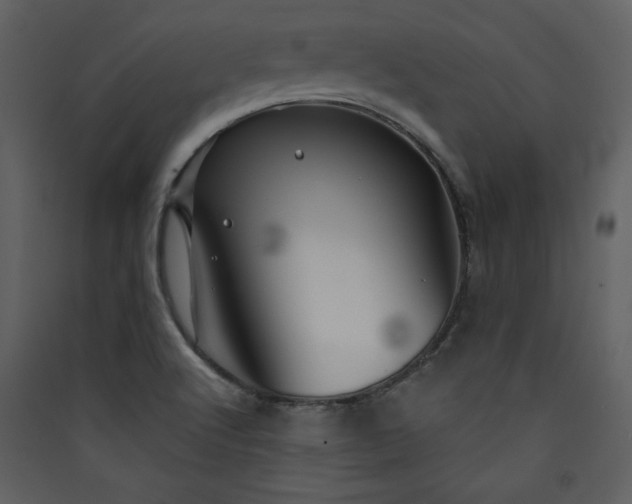 X0000089911512200707131339