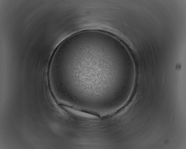 X0000089911513200707131339