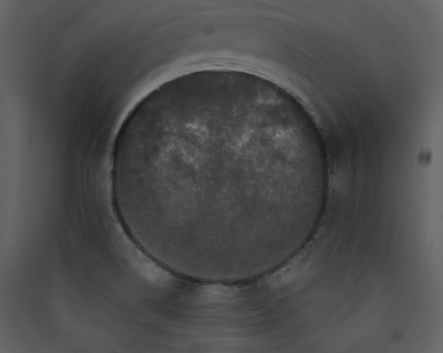 X0000089911514200707131339