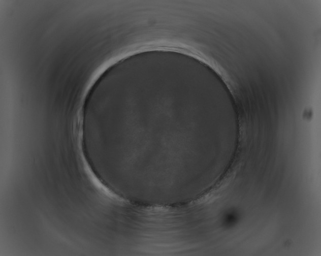 X0000089911515200707131339
