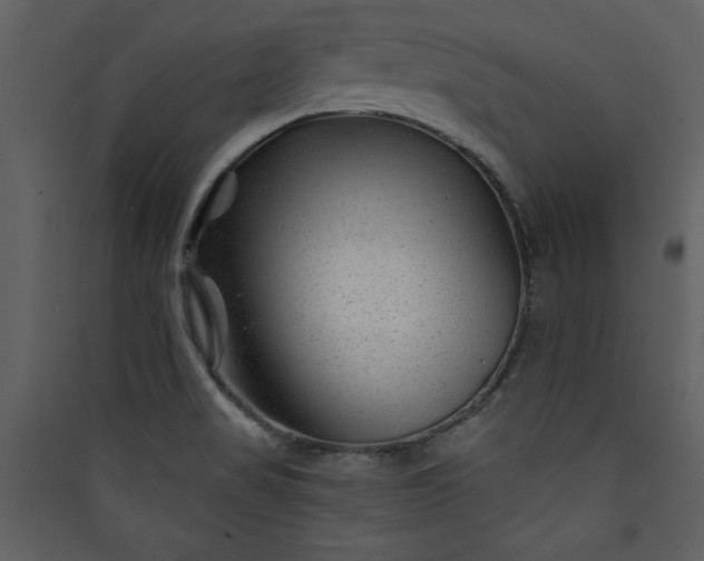 X0000089911517200707131339
