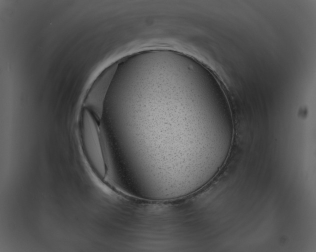 X0000089911519200707131339