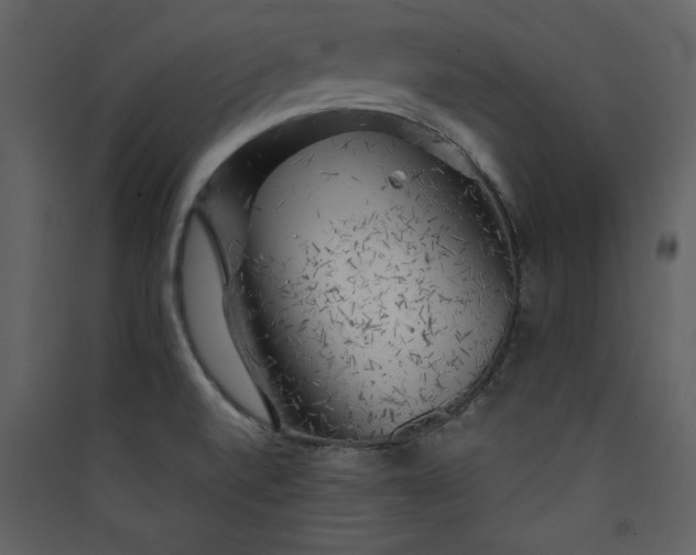 X0000089911520200707131339