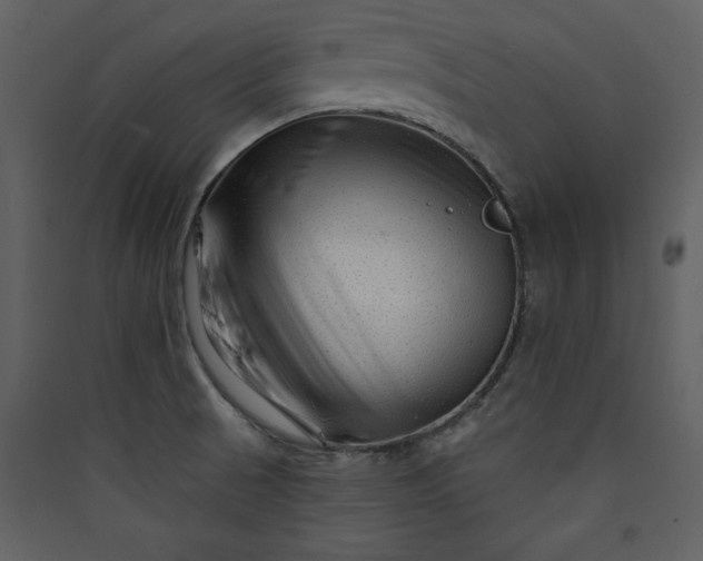 X0000089911521200707131339