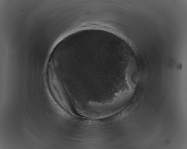 X0000089911522200707131339