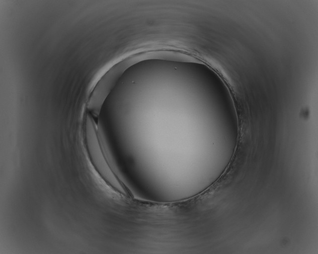 X0000089911524200707131339
