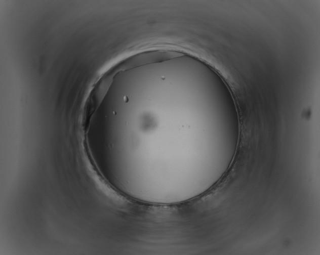 X0000089911526200707131339
