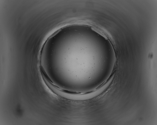 X0000089911528200707131339