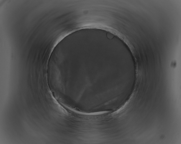 X0000089911529200707131339