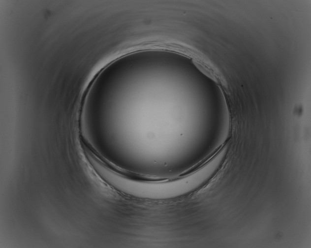 X0000089911530200707131339