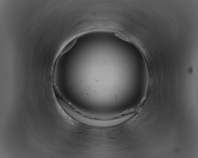 X0000089911532200707131339