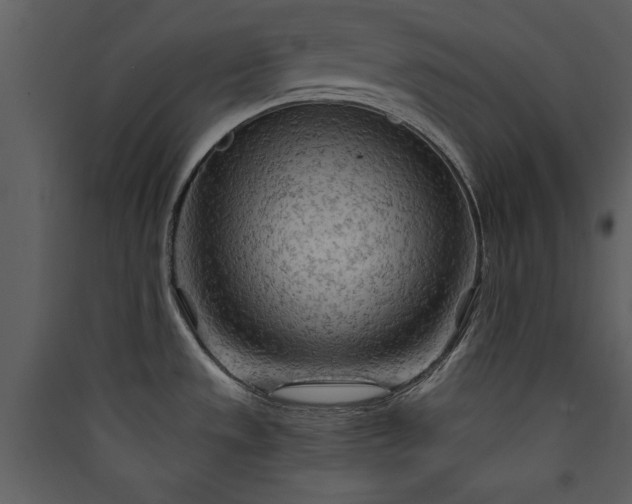 X0000089911533200707131339